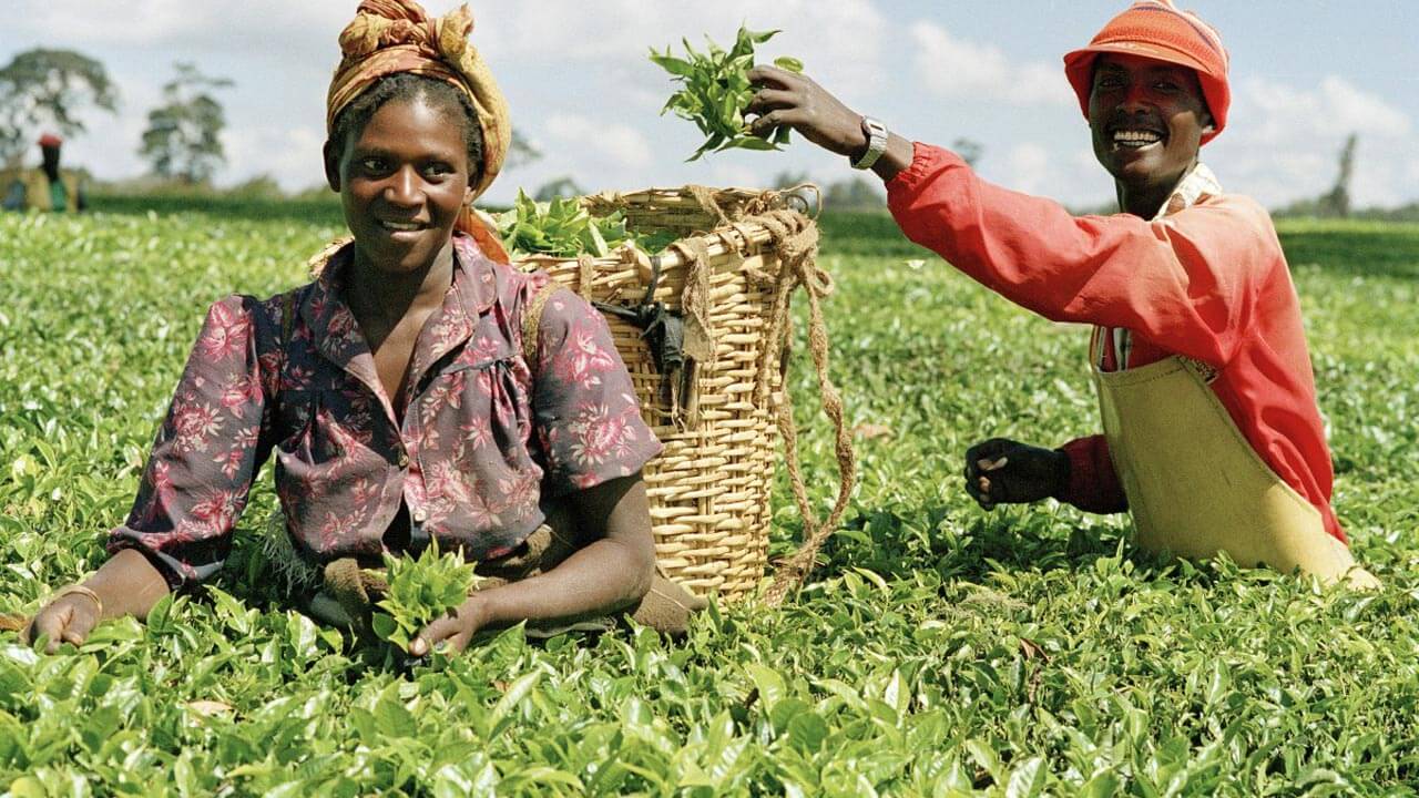 Empowering Women for Inclusive Economic Growth in Rural Communities