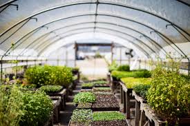 The BLiTS Approach to Sustainable Farming